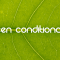 Convegno Energivori – Energy Release e "Green Conditionalities"